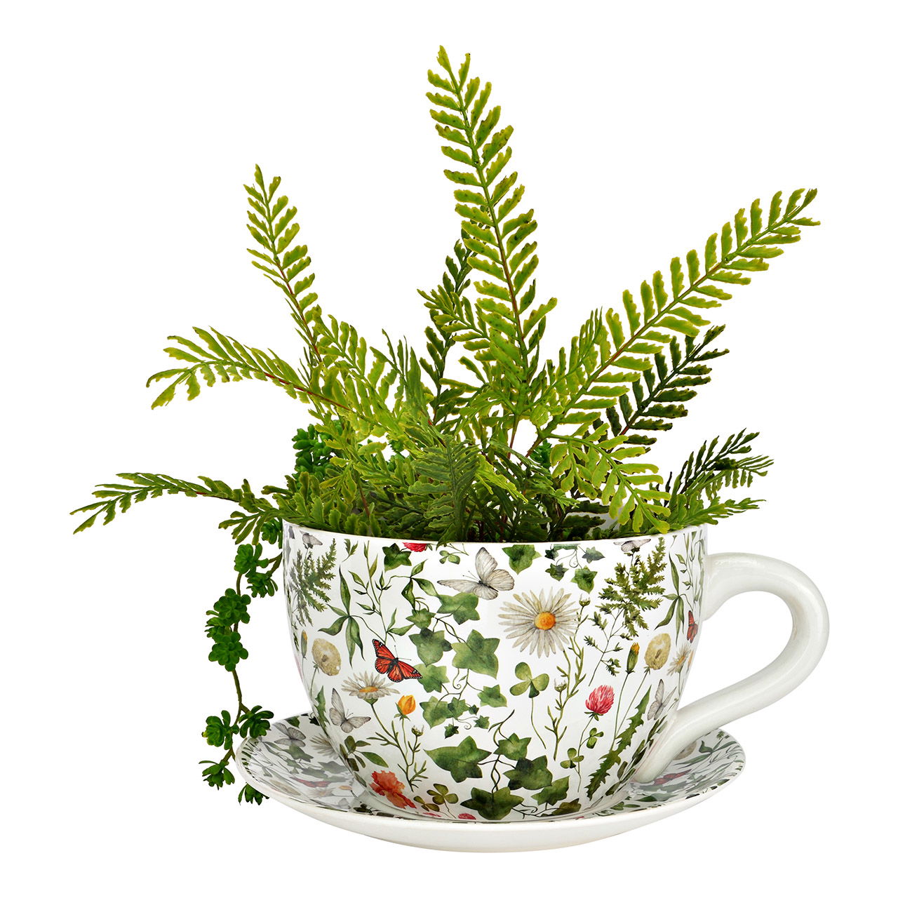 Kräuterig, Kräuter, Pflanze, Blumen-Arrangement, Tasse