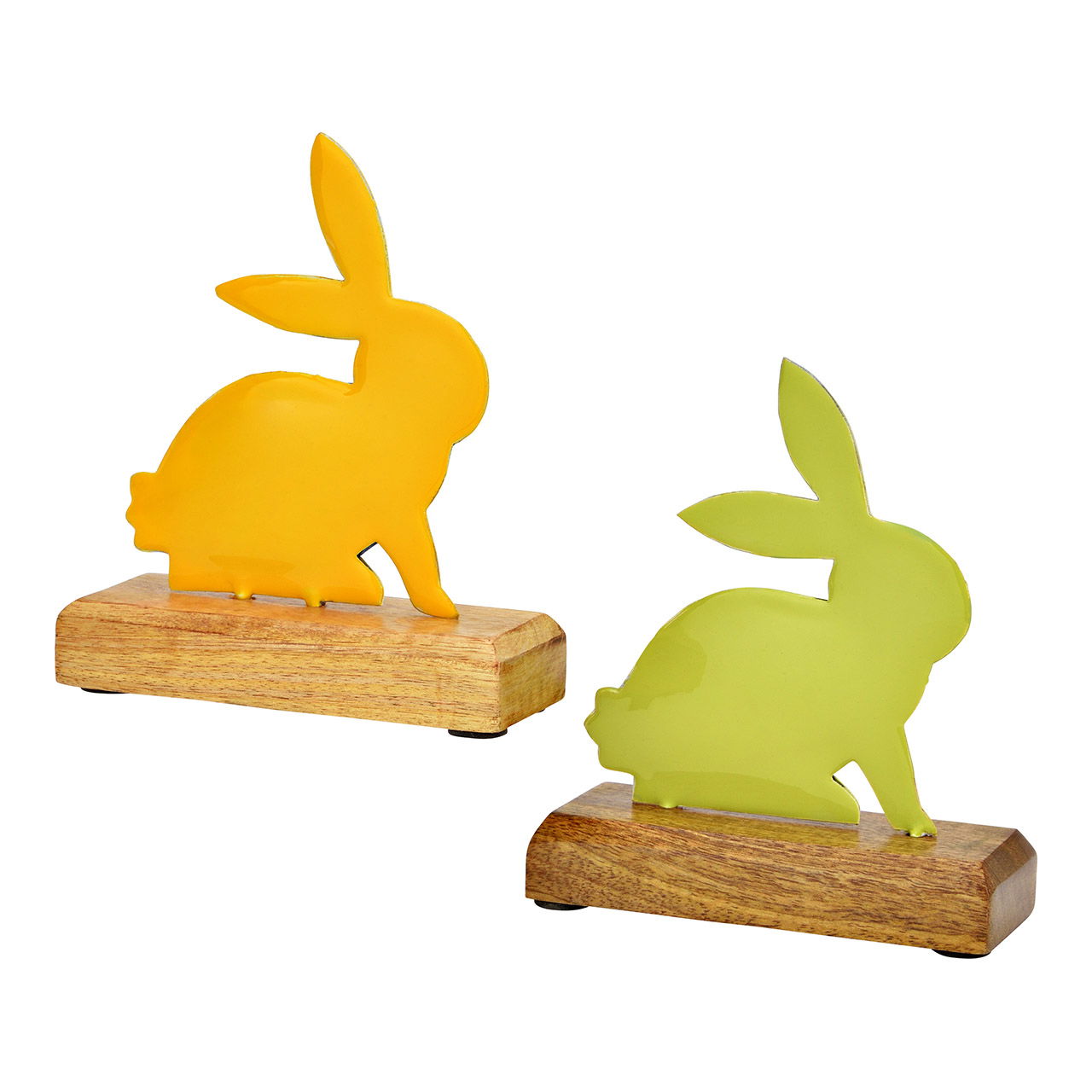 Tier, Säugetier, Hase