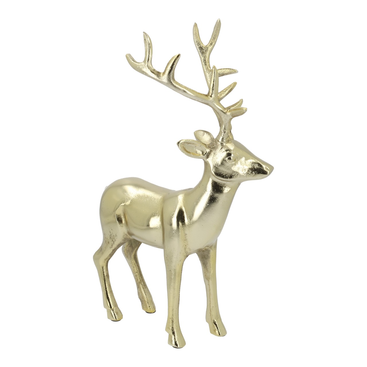 Hirsch, Säugetier, Tierwelt, Antilope, Geweih