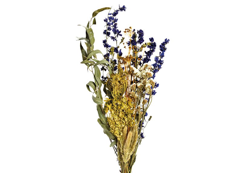 Ramo de flores secas de verano holandesas de colores naturales (H) 55cm