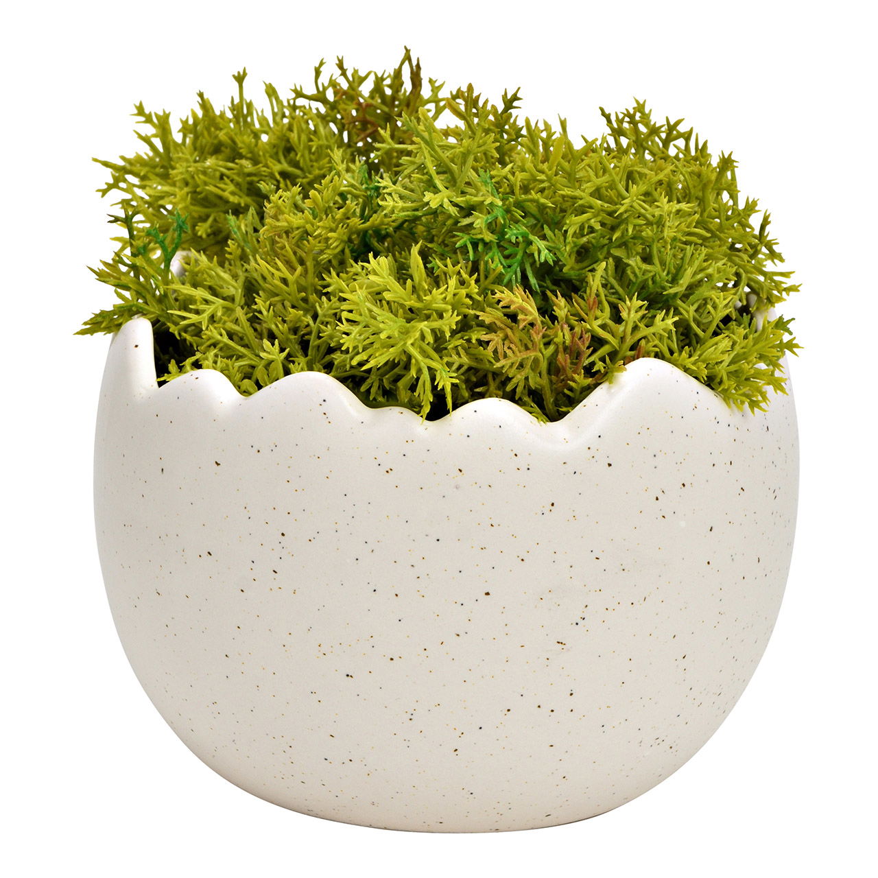 Bol œuf en porcelaine blanche (L/H/P) 10x7x10cm Moos, Topfpflanze, Krug, Pflanzgefäß, Töpferei