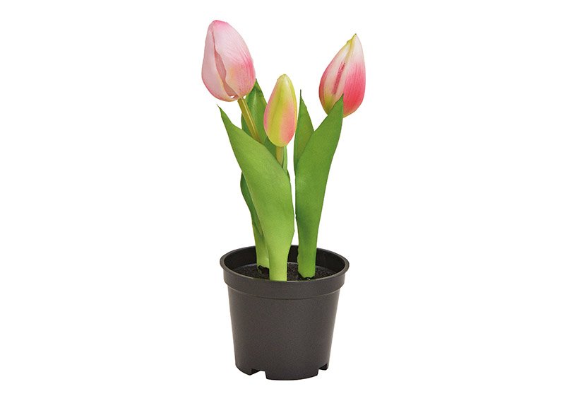 Tulipani in vaso x3 plastica rosa/rosa (H) 20,5cm