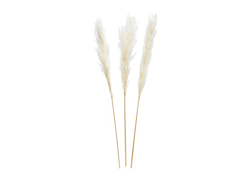 Juego de hierba de la Pampa de material natural blanco juego de 3, (H) 100-115cm