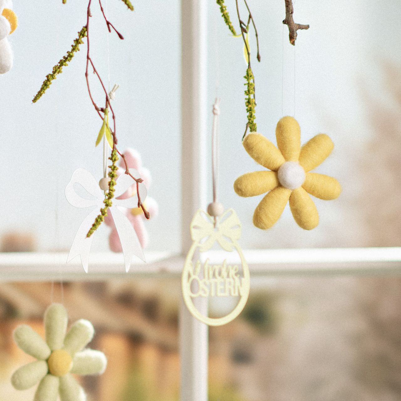 Gänseblümchen, Blume, Pflanze, Zubehör