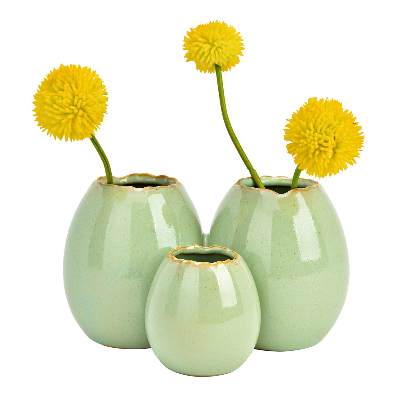 Krug, Töpferei, Vase, Blume, Topfpflanze