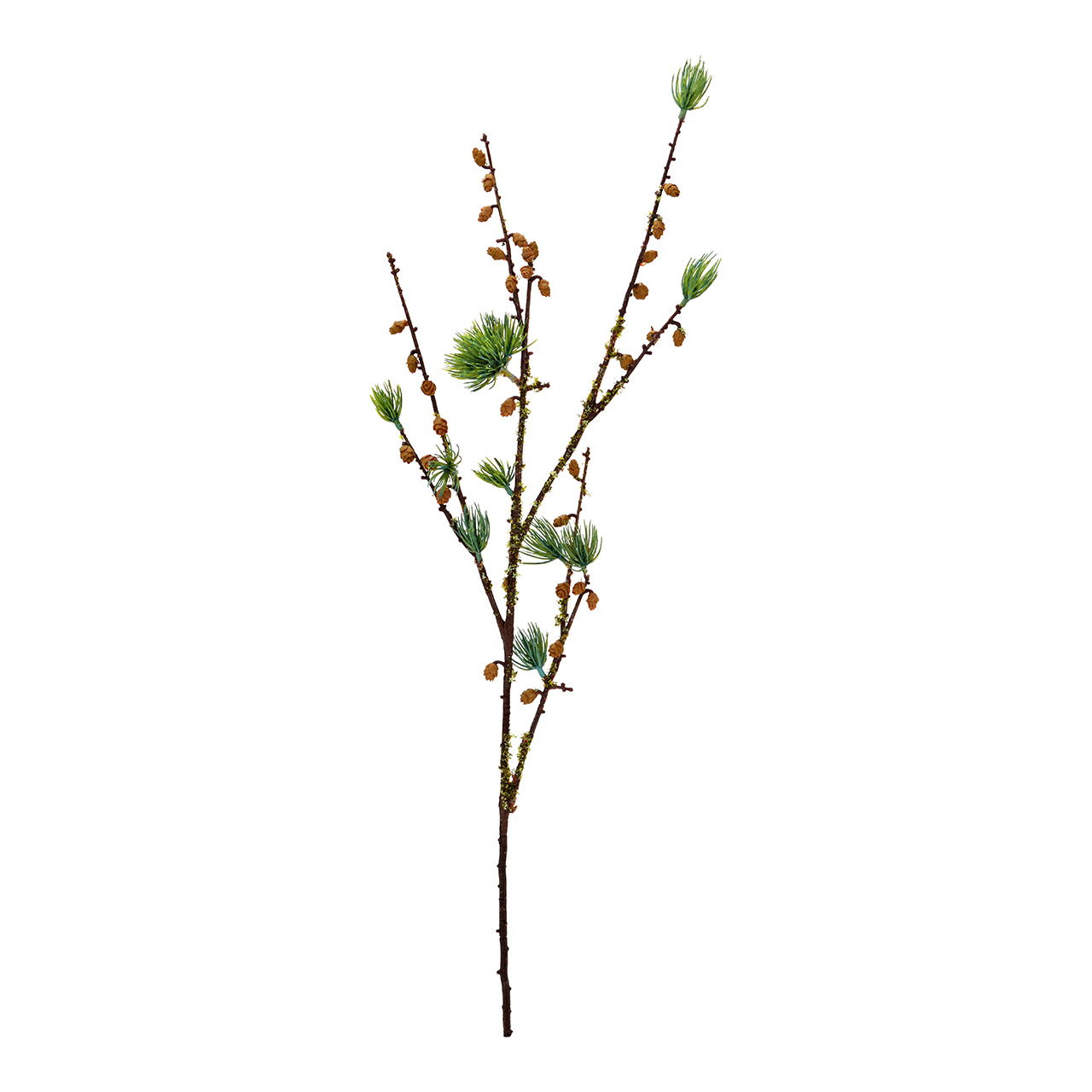 Knospe, Blume, Pflanze, Blumen-Arrangement, Ikebana