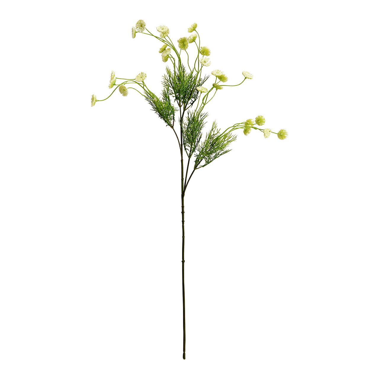 Fiore artificiale di aneto in plastica, verde (H) 60 cm