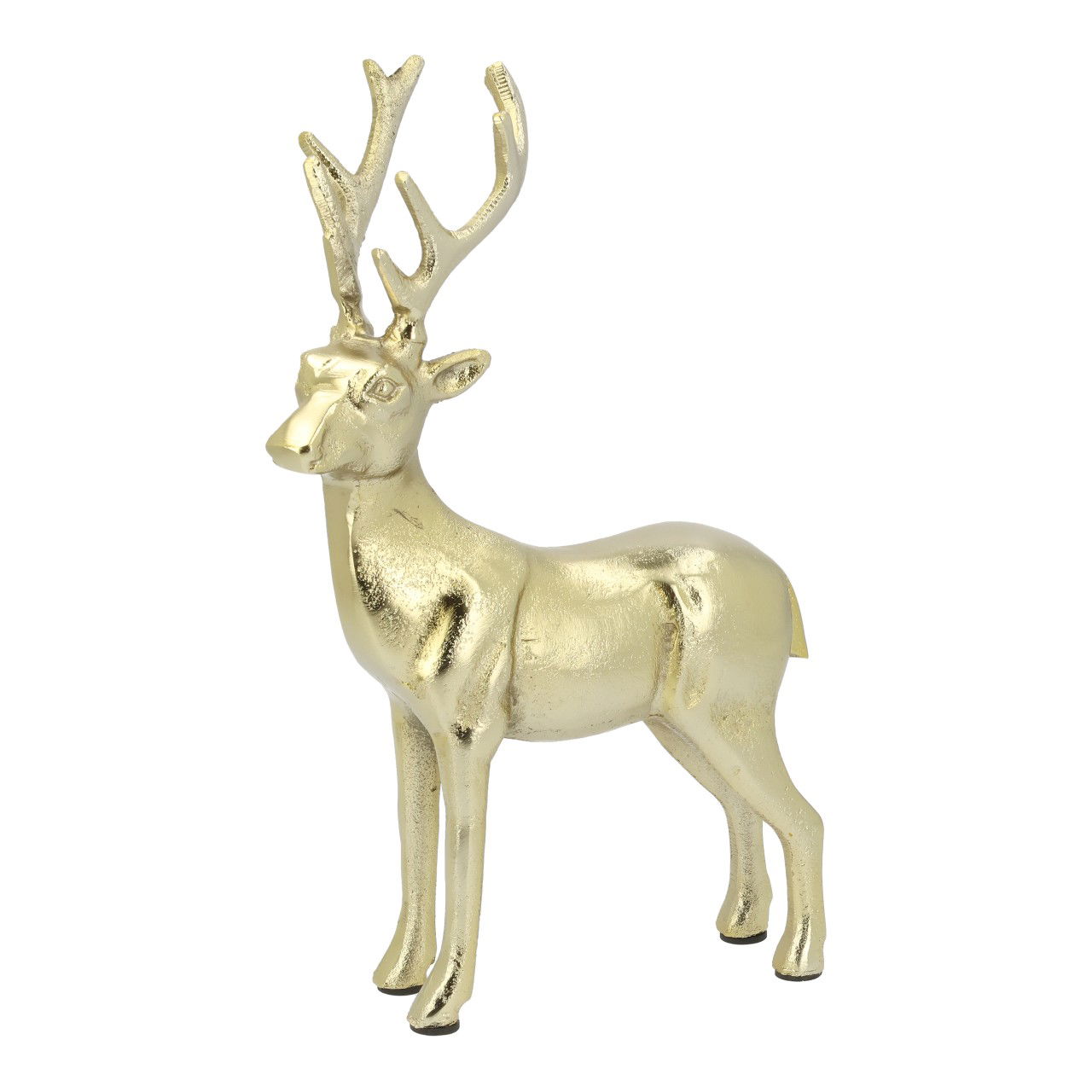 Tier, Hirsch, Säugetier, Tierwelt, Antilope