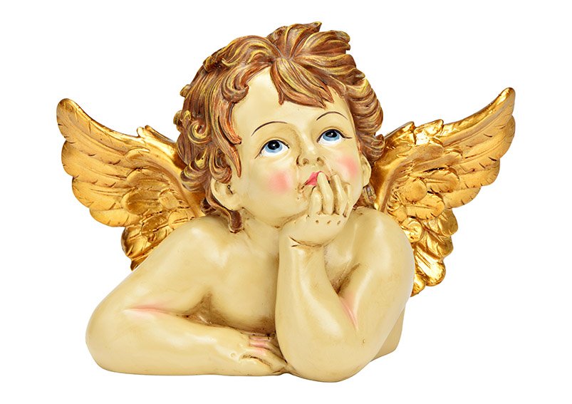 Testa di angelo in poli-oro (L/H/D) 24x16x12cm