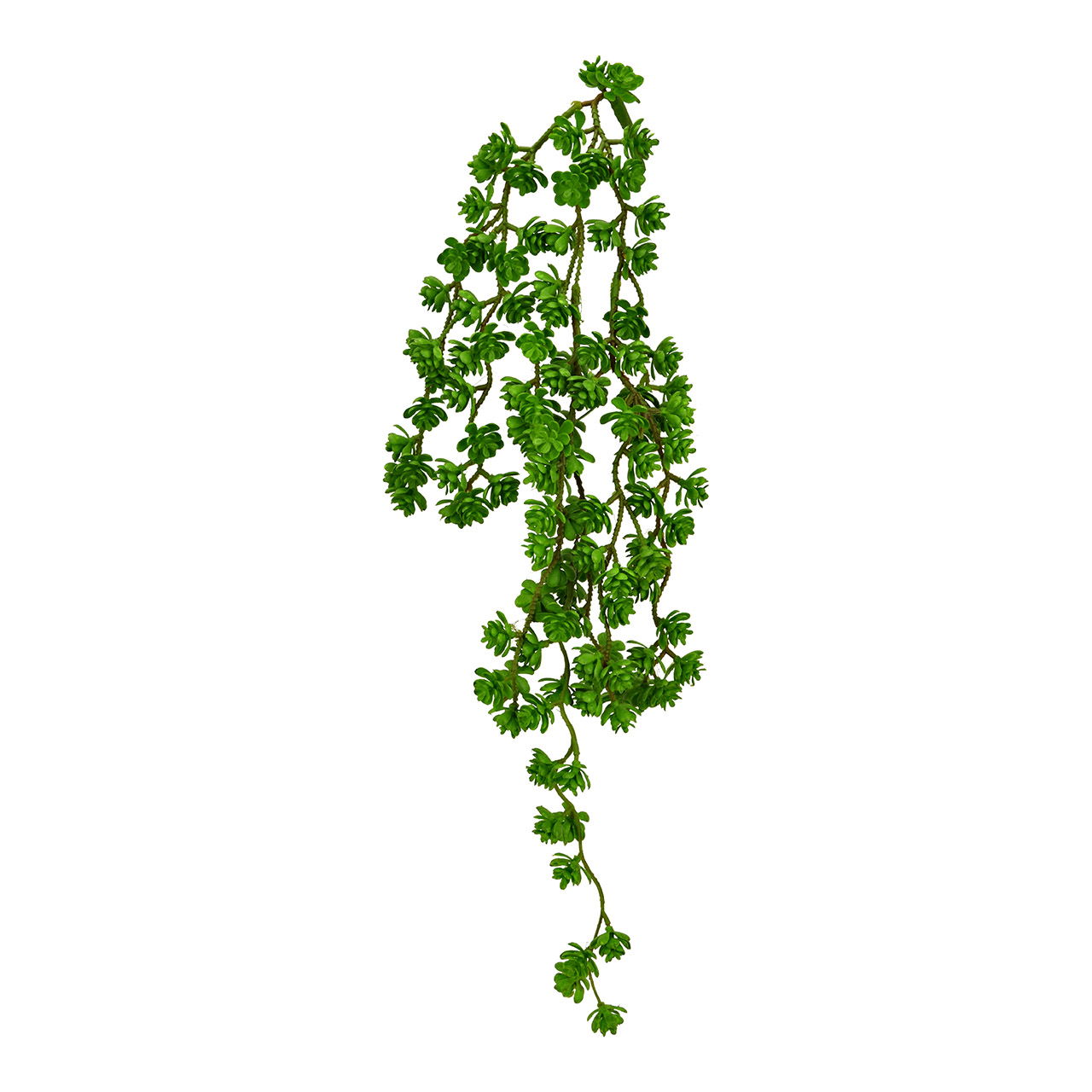 Kunstblume Sukkulente hängend aus Kunststoff, Grün (H) 64cm Kräuter, Pflanze, Petersilie
