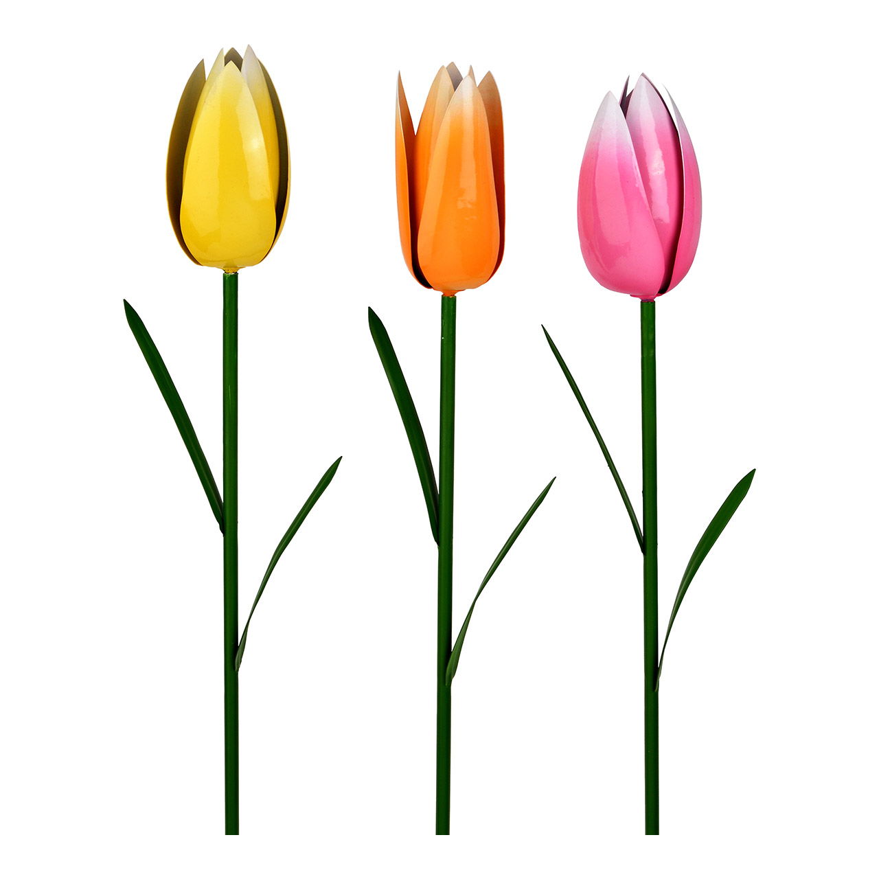 Blume, Pflanze, Tulpe