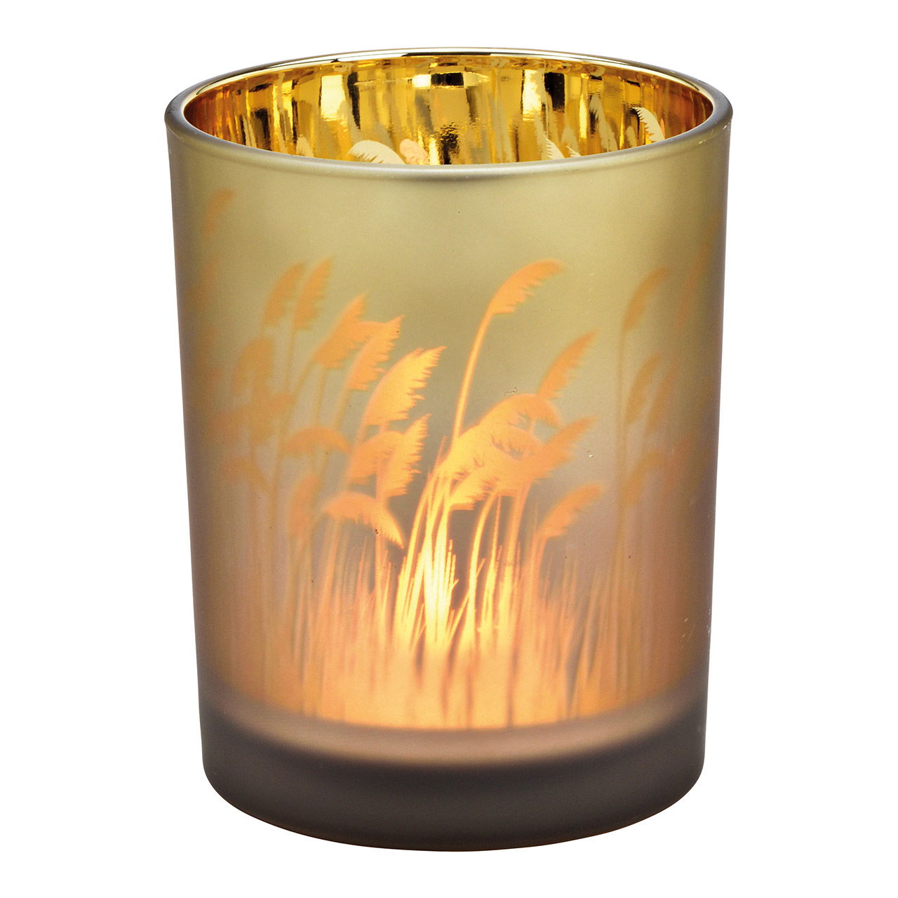 Windlicht pampasgras decor van glas bruin, goud (B/H/D) 10x12x10cm