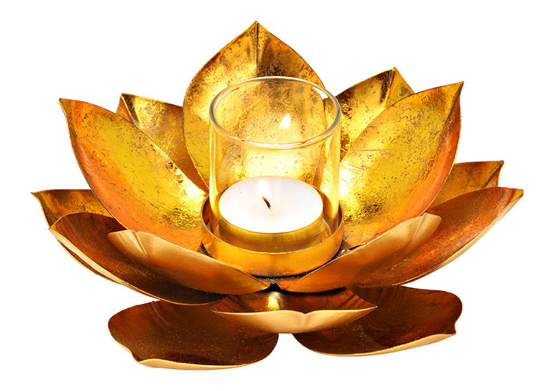 Windlicht Lotus van metaal/glas goud (w/h/d) 18x8x18cm