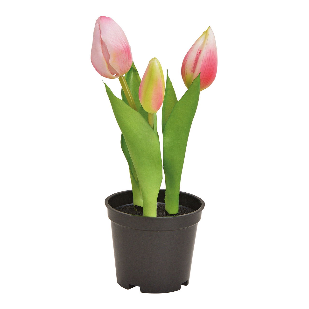 Tulpen in pot x3 plastic Roze/Roze (H) 20,5cm