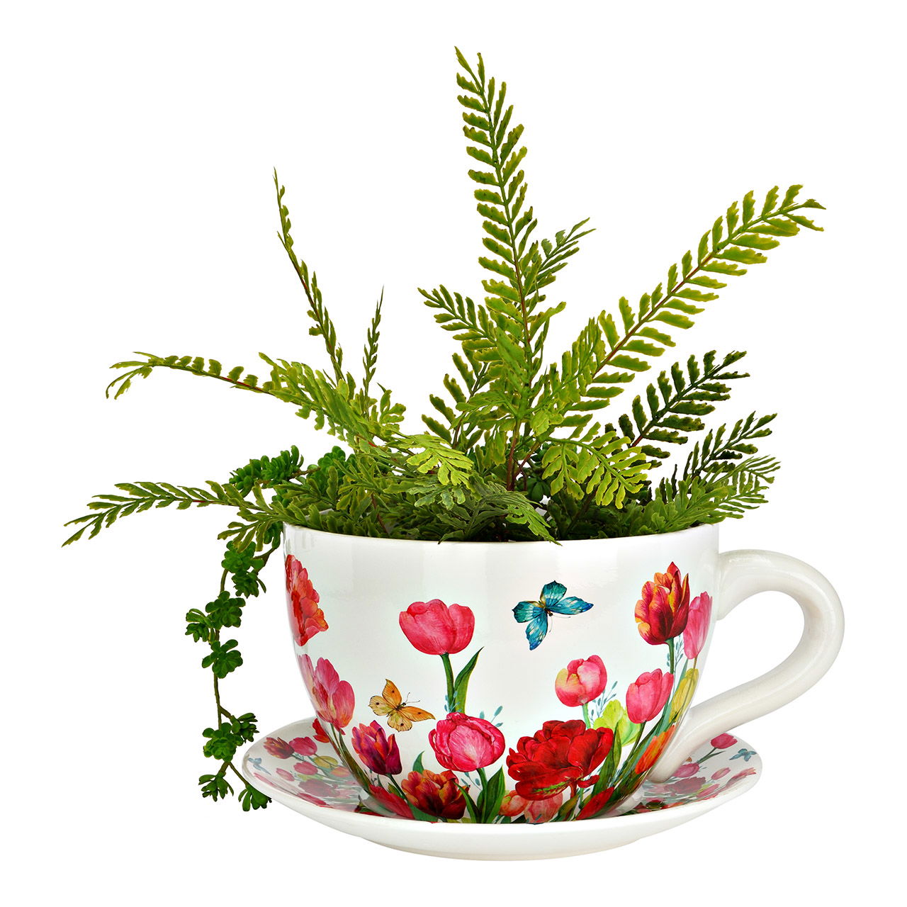 Blume, Blumen-Arrangement, Pflanze, Tasse, Töpferei