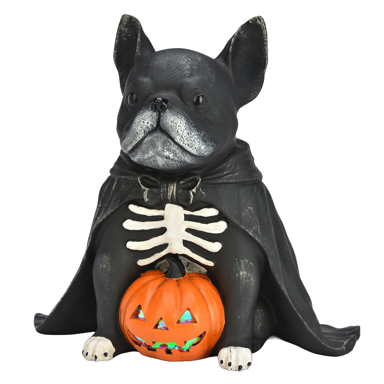 Tier, Hund, Säugetier, Haustier