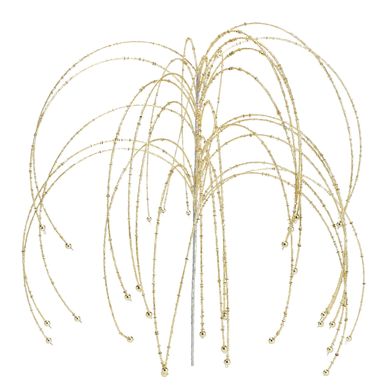 Gras, Pflanze