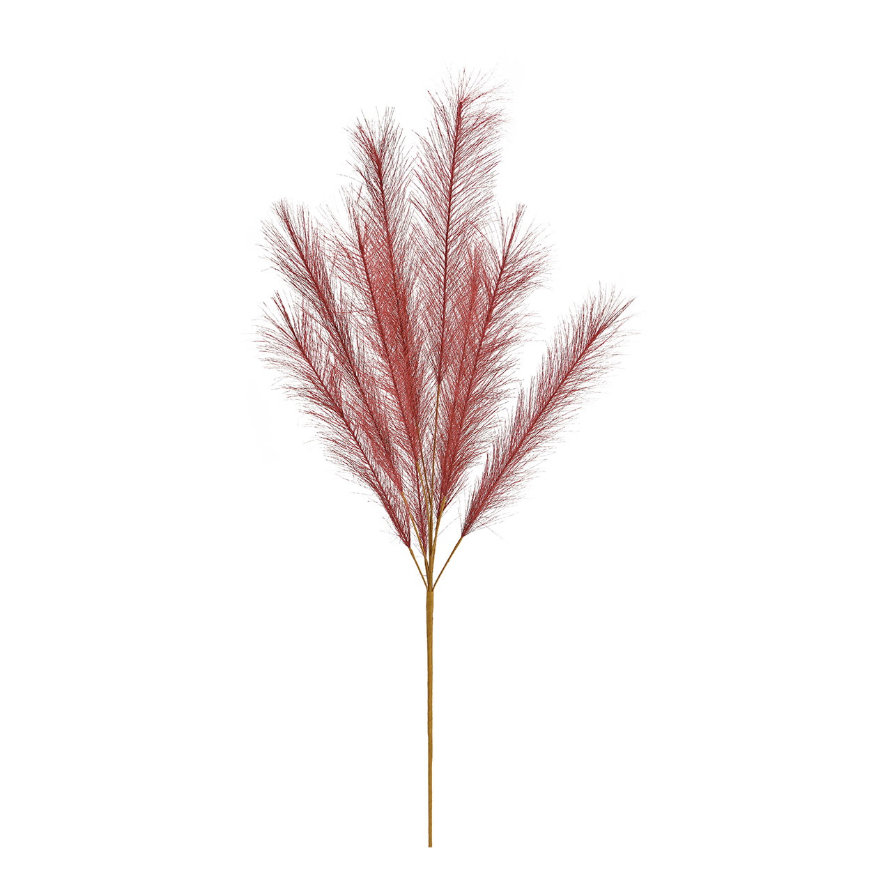 Pampasgras aus Kunststoff Rot (H) 91cm | 10030263