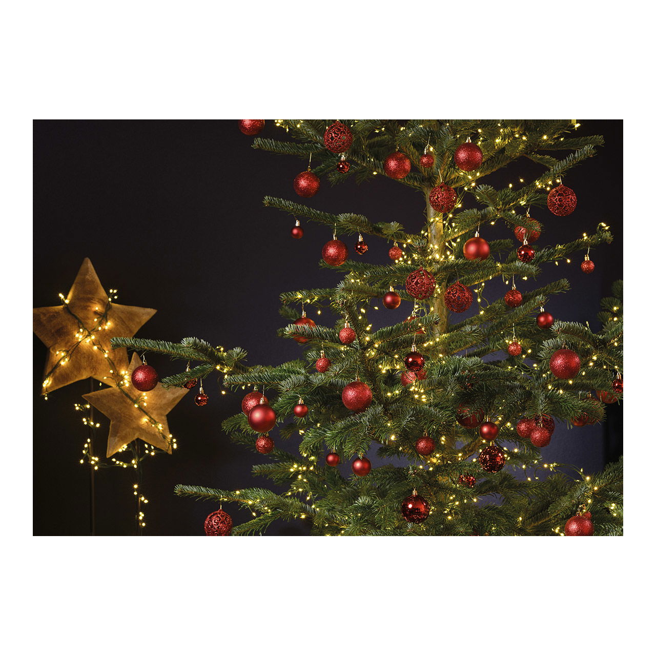 Pflanze, Baum, Weihnachten, Weihnachtsdekorationen, Festival