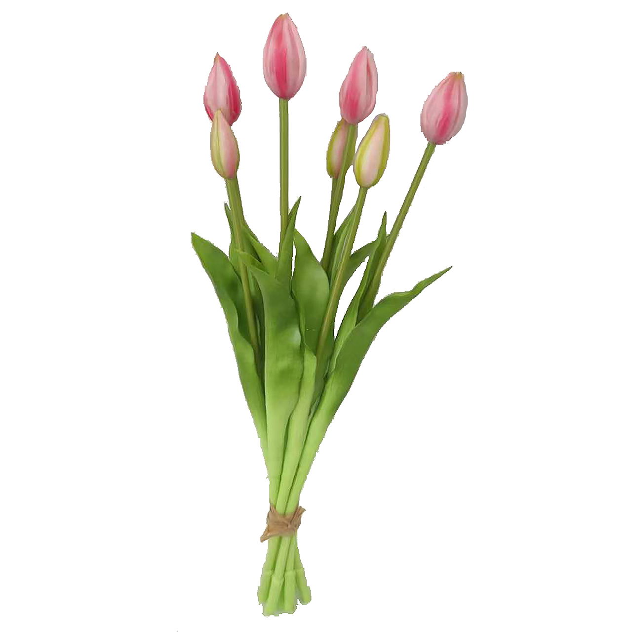 Blume, Pflanze, Blumen-Arrangement, Tulpe, Blumenstrauß