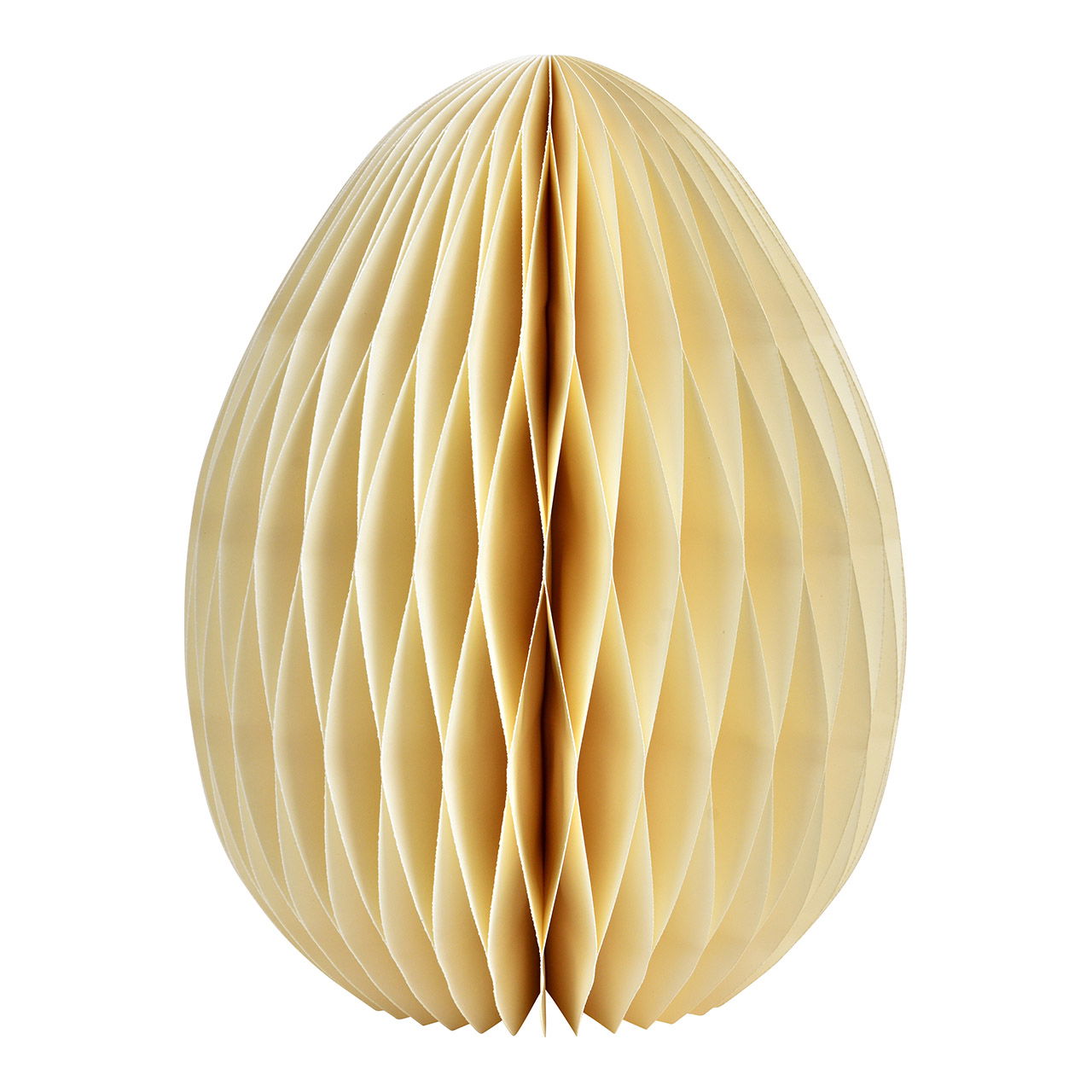 Muschel, Leben im Meer, Meeresfrüchte, Lampe