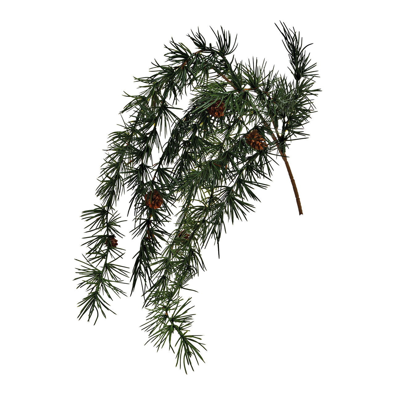 Zedernast mit Zapfen aus Kunststoff Grün (H) 72cm Zedernast mit Zapfen aus Kunststoff Grün (H) 72cm