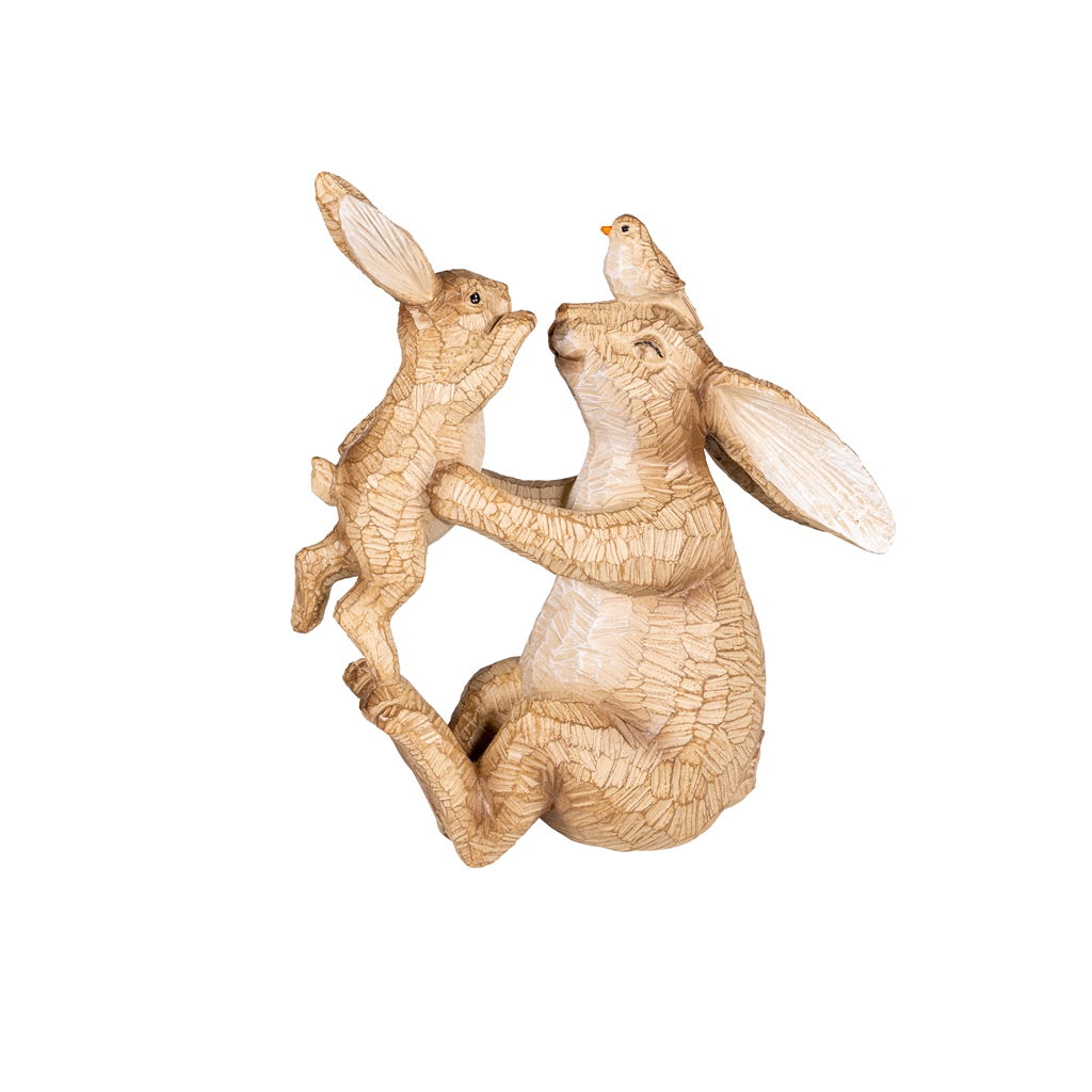 Tier, Hase, Säugetier, Nagetier, Vogel