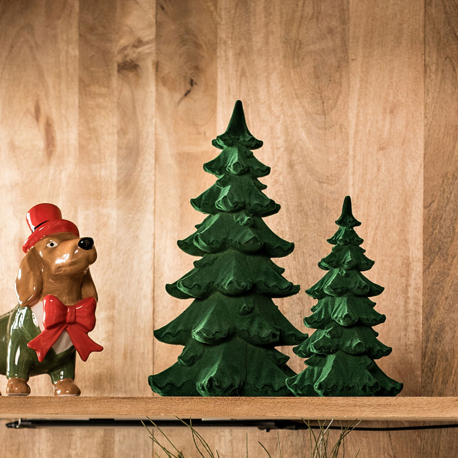 Pflanze, Baum, Holz, Spielzeug, Weihnachtsdekorationen