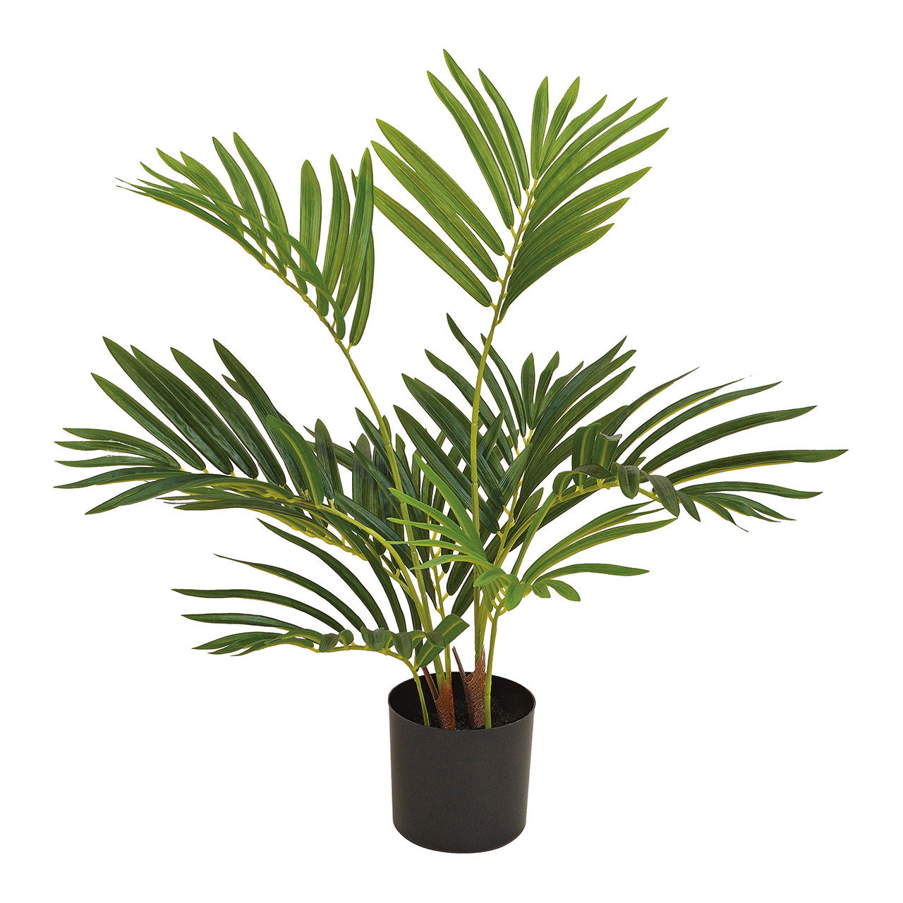 Plante artificielle Palmier Fougère Vert (H) 65cm