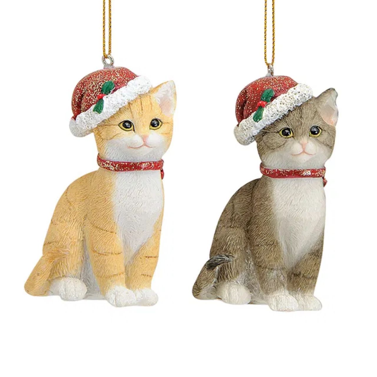 Zubehor, Tier, Katze, Säugetier, Haustier