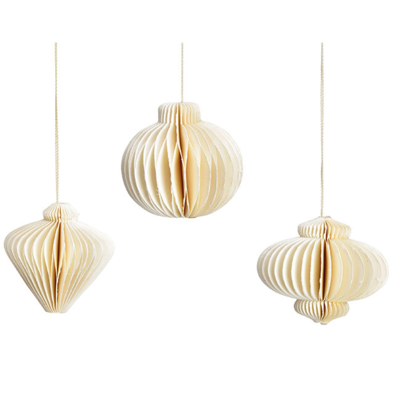 Lampe, Kronleuchter, Halskette, Muschel, Ohrring
