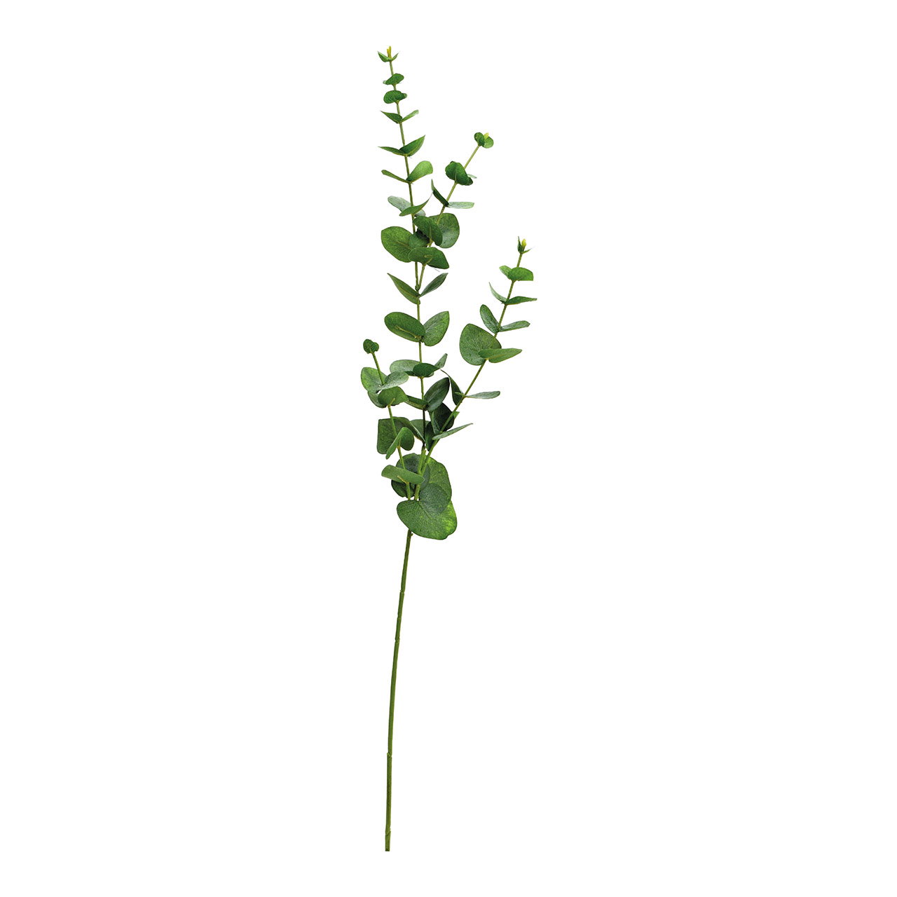 Eukalyptus aus Kunststoff Grün (H) 80cm eukalyptus, Zweig, grüner Stängel, Blattzweig, Ast-Verzierung