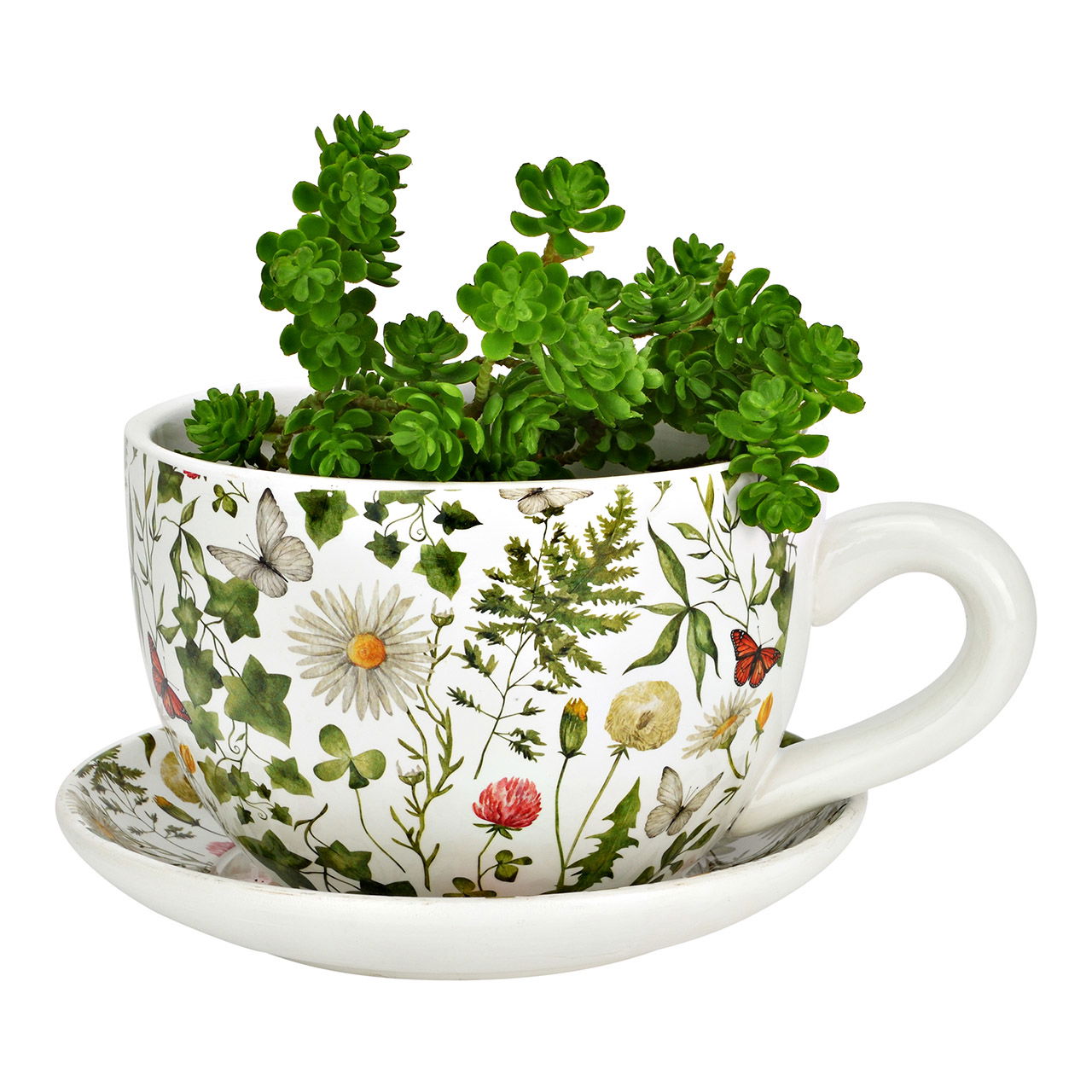 Kräuter, Pflanze, Kräuterig, Tasse, Töpferei