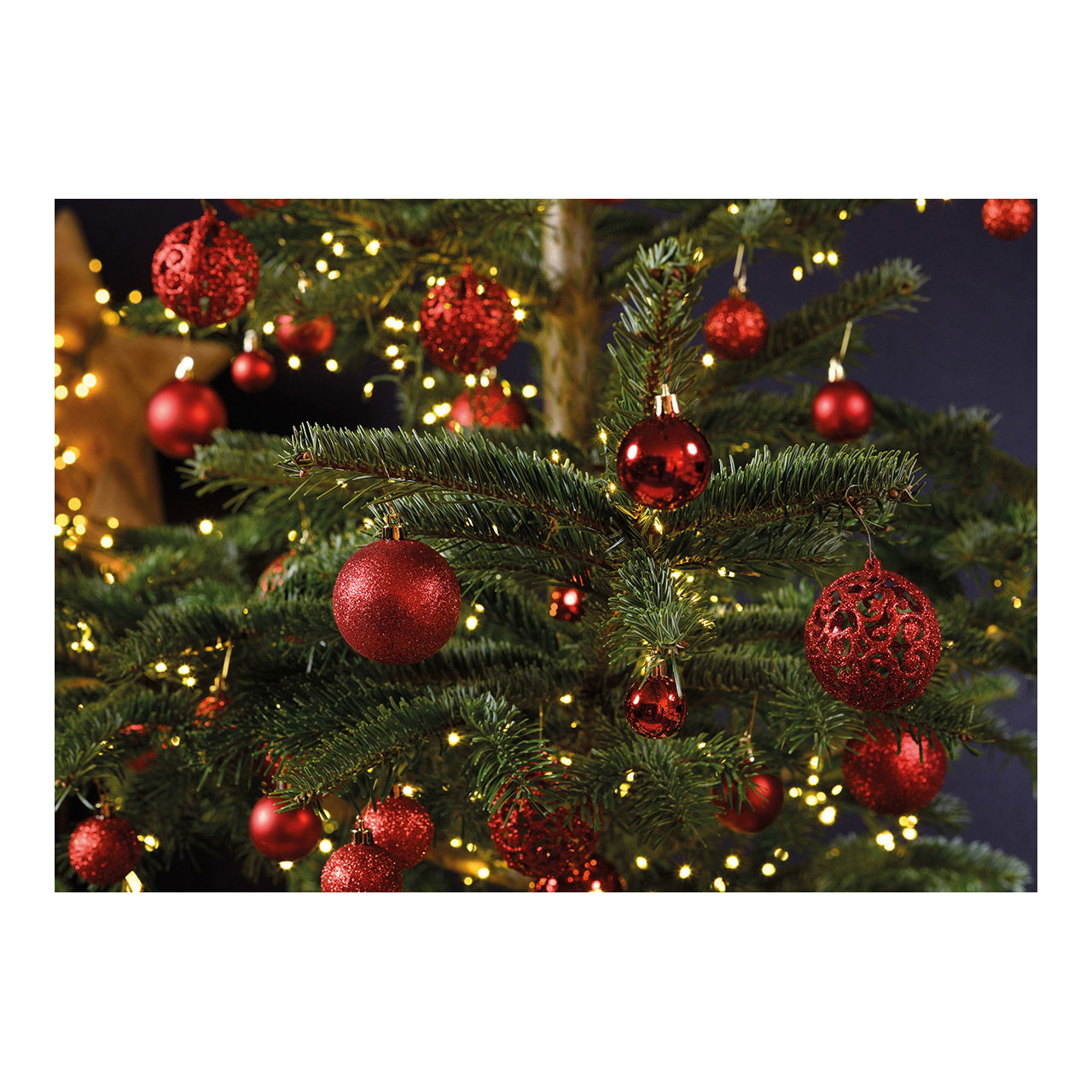 Pflanze, Baum, Weihnachtsdekorationen, Festival, Weihnachtsbaum