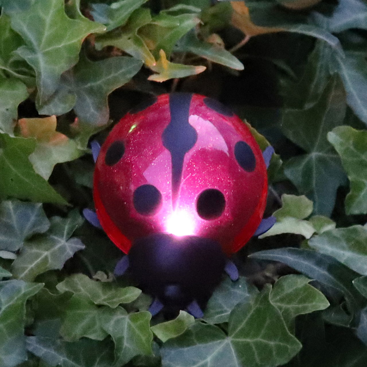 LED solar stake beetle/snail/turtle in display (W/H/D) 8x15x6 cm Bekleidung, Schutzhelm, Helm