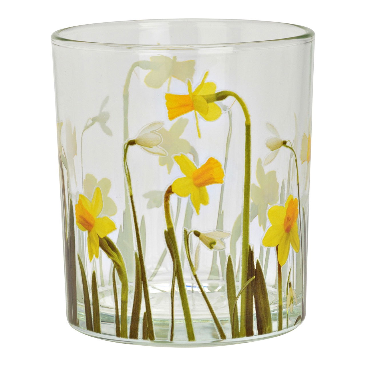 Krug, Töpferei, Vase, Glas, Narzisse