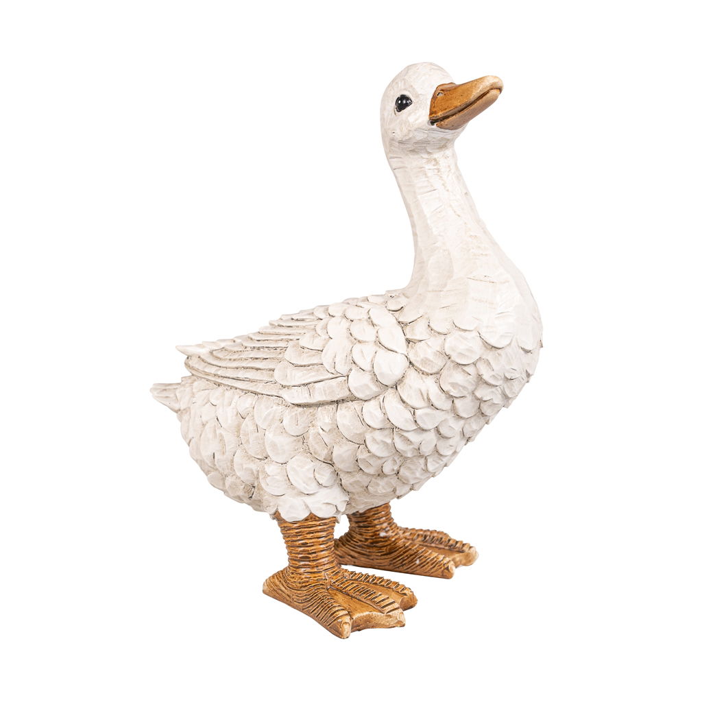 Tier, Vogel, Gans, Wasservögel