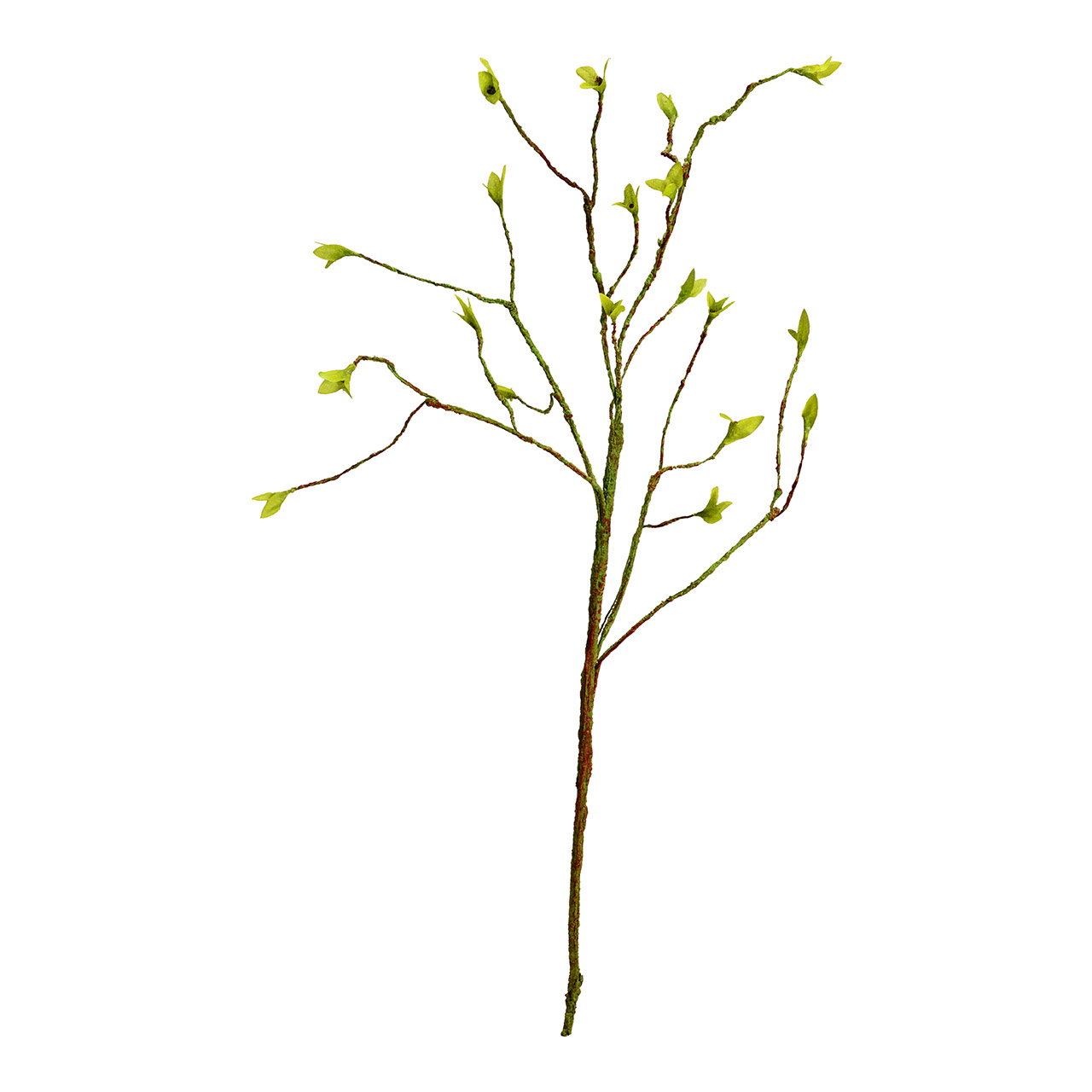 Blume, Blumen-Arrangement, Pflanze, Knospe, Baum