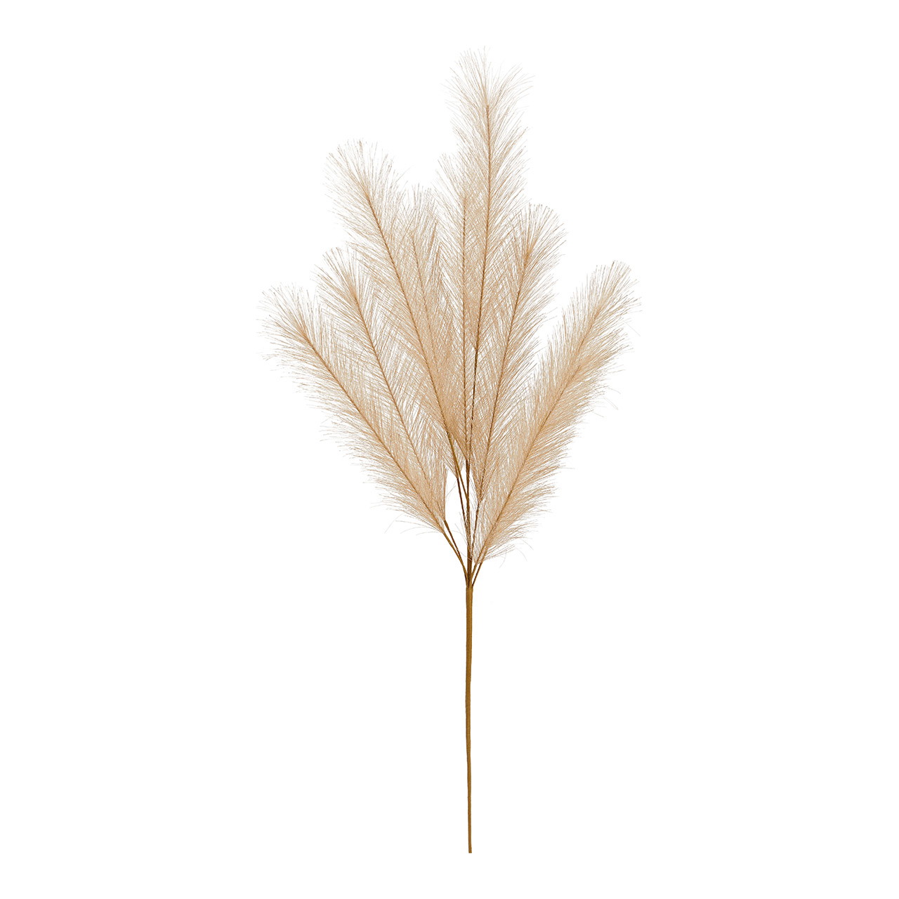 Pampasgras aus Kunststoff Beige (H) 91cm | 10030261