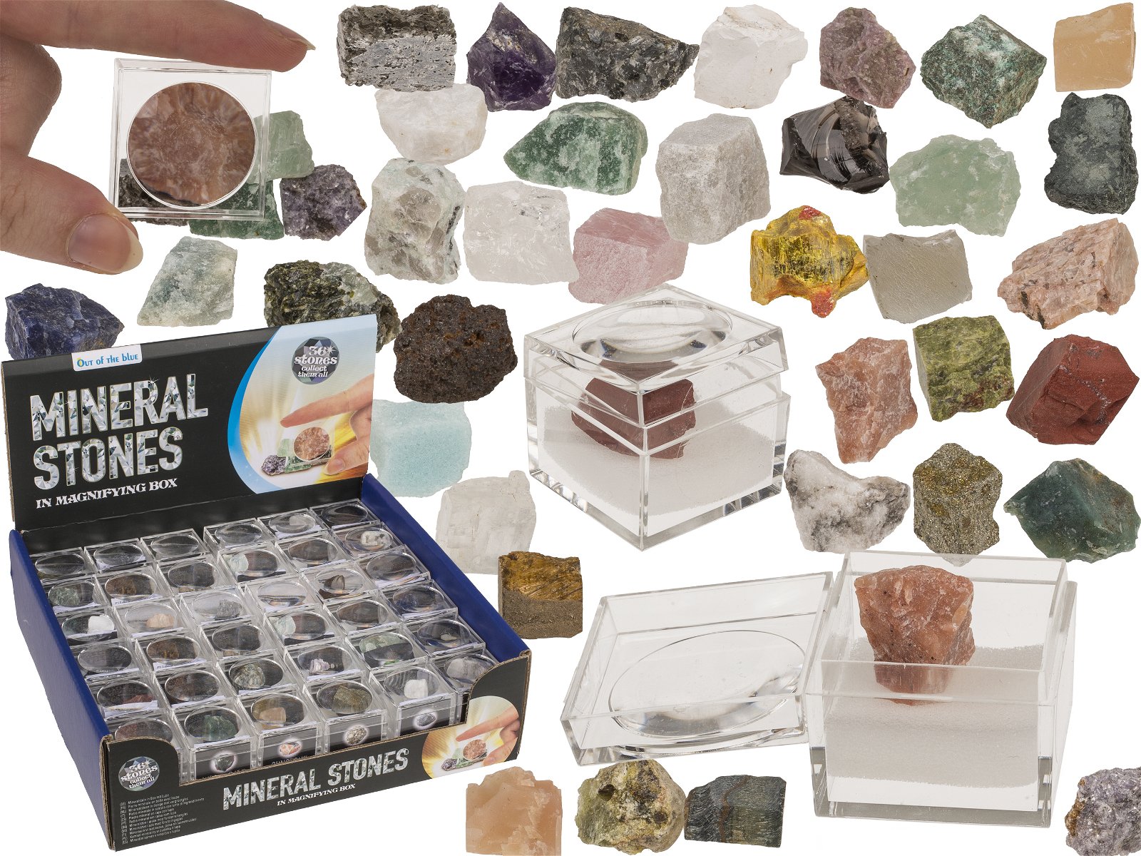 Mineralsteine, in Kunststoff Box, mit Lupe aus Naturmaterial bunt 36-fach, (H) 2cm
