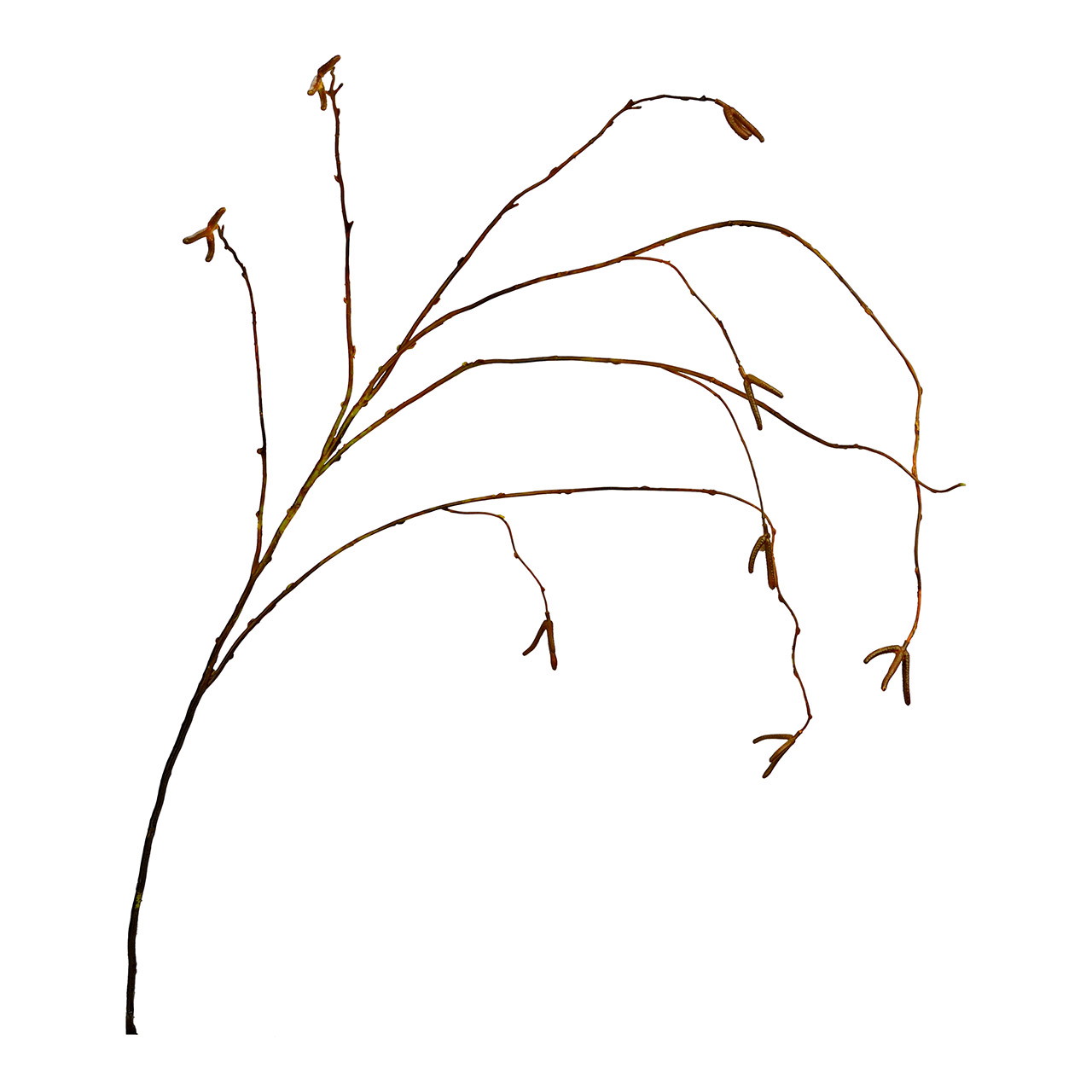 Kunstblume Weidenzweig hängend 105cm | 10045828