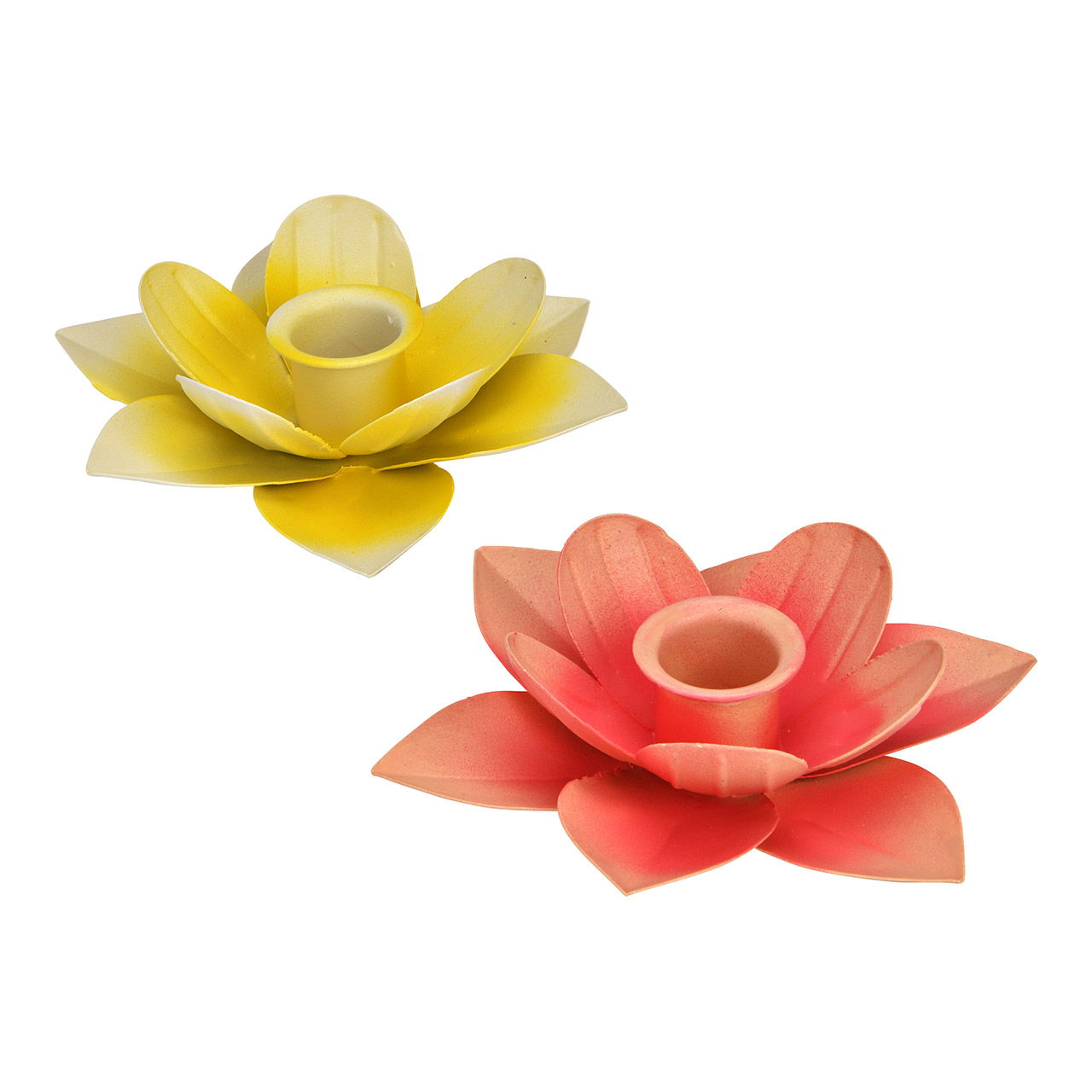Dahlie, Blume, Pflanze, Blütenblatt, Zubehör