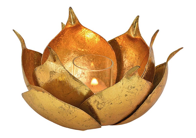 Windlicht Lotus aus Metall, Glas Gold (B/H/T) 20x12x20cm