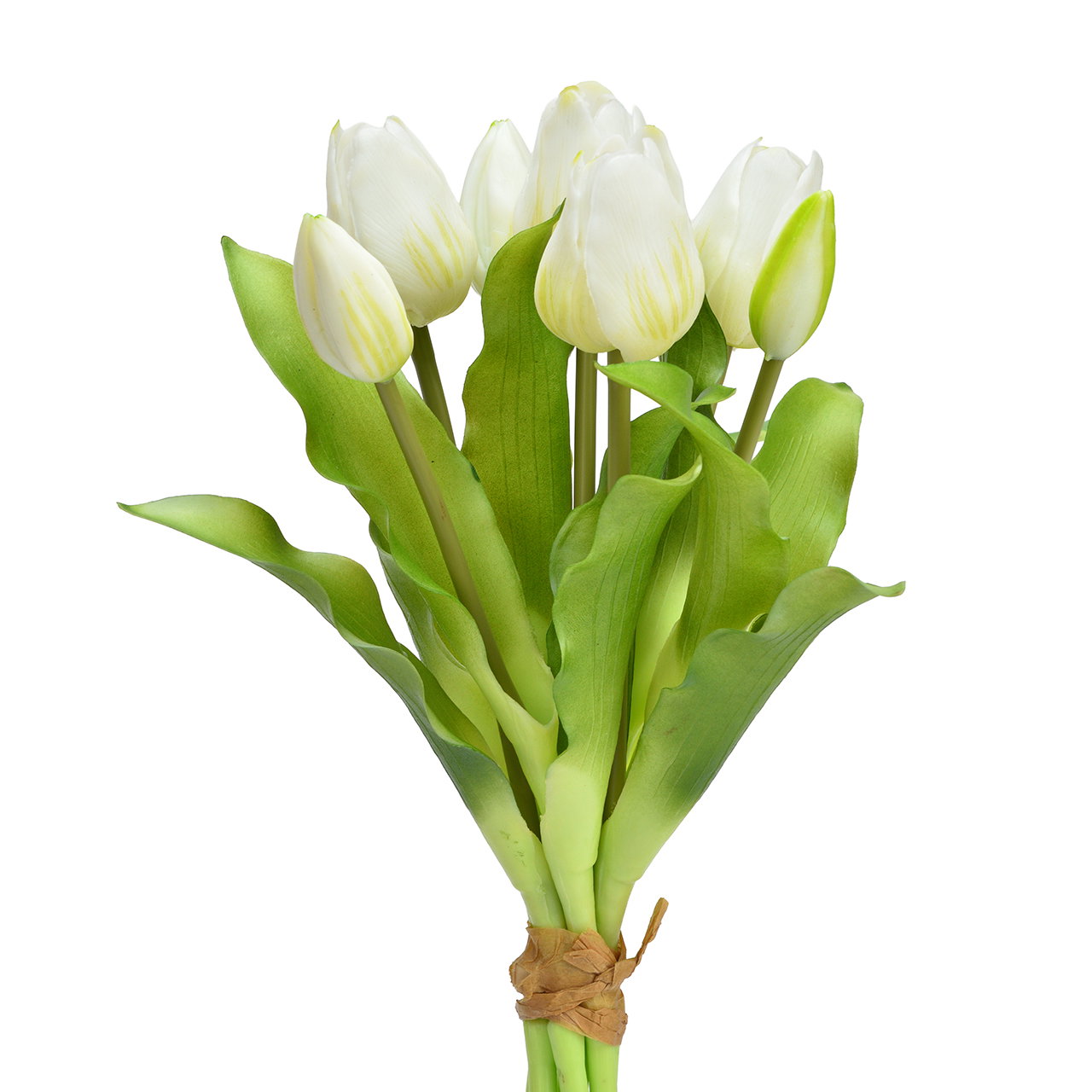 Tulpen, Weiße Tulpen, Blumenstrauß, Stiele, Grün