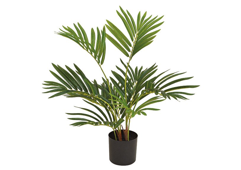 Plante artificielle Palmier Fougère Vert (H) 65cm