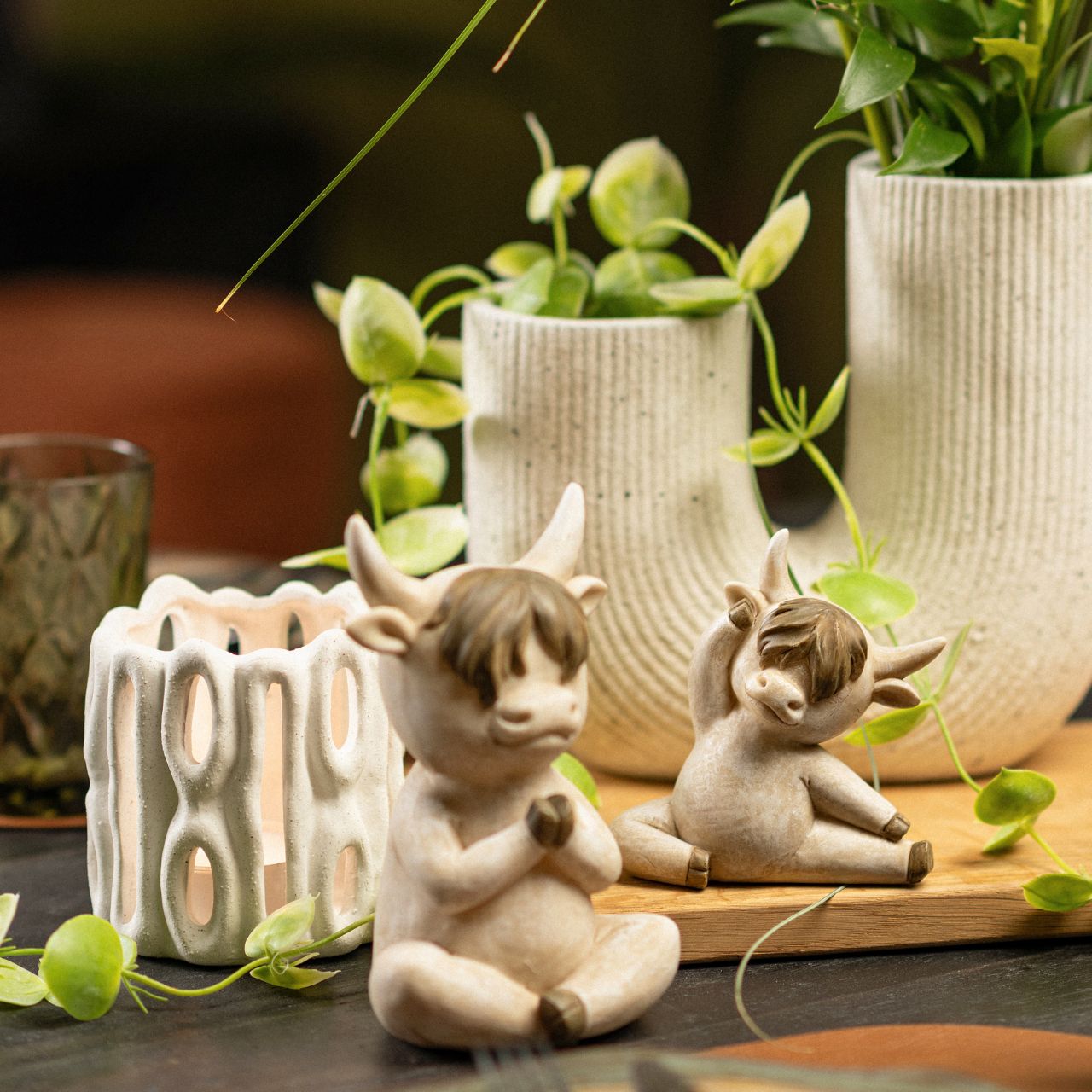 Pflanze, Pflanze im Topf