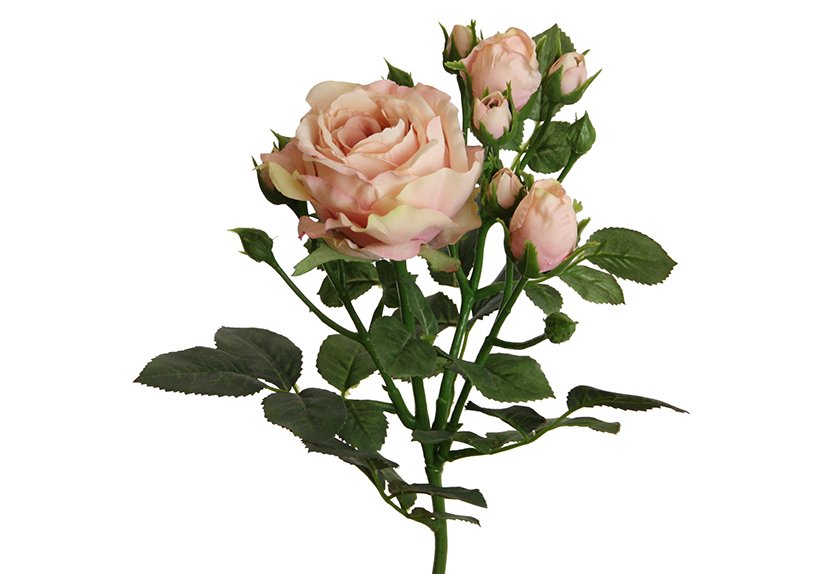 Künstliche Blumen Englisch Blüte, Knospen aus Kunststoff Pink/Rosa (H) 62cm