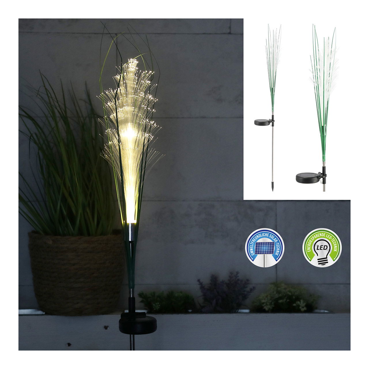 Fiche de jardin solaire LED, herbe de la pampa, en acier inoxydable, plastique blanc (L/H/P) 10x78x6cm LED blanc chaud, interrupteur on, off, incl. 1x1,2V AA 300mAh, batterie Ni-MH, IP44