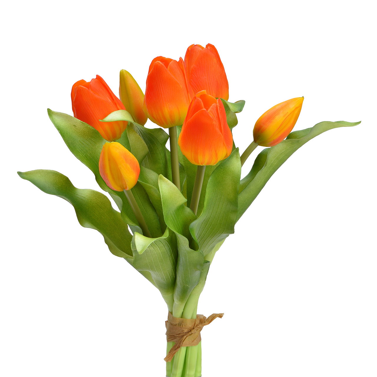 Tulpen, Orangene Tulpen, Blumenstrauß, Blütenstiele, Grüne Blätter