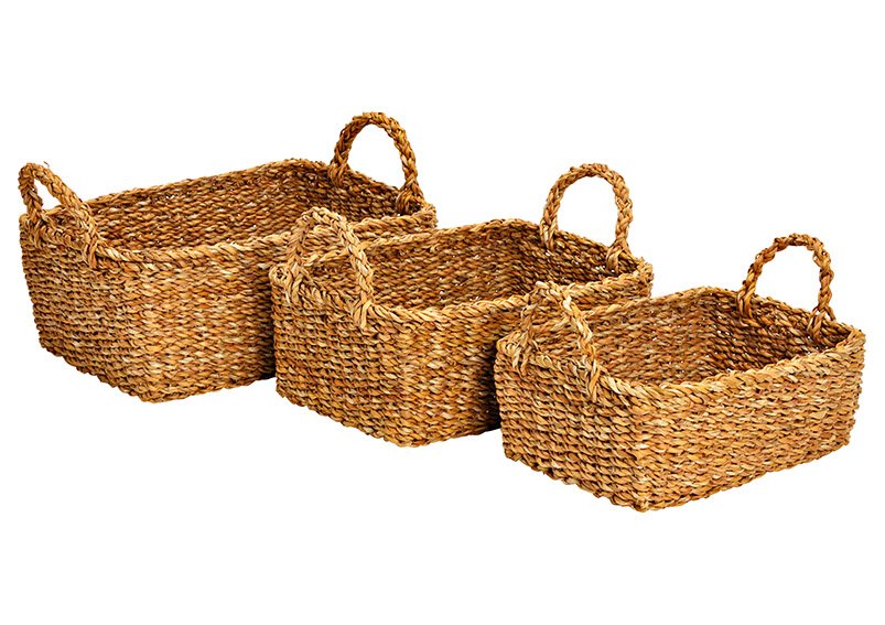 Basket set of seaweed of natural material nature set of 3, (W/H/D) 36x15x27cm 32x13x23cm 18x11x20cm L 4007698396183 M 4007698396169 S 4007698396176 